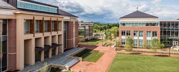 liberty university

